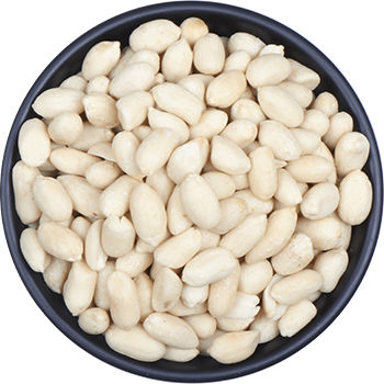 Groundnut In-Shell